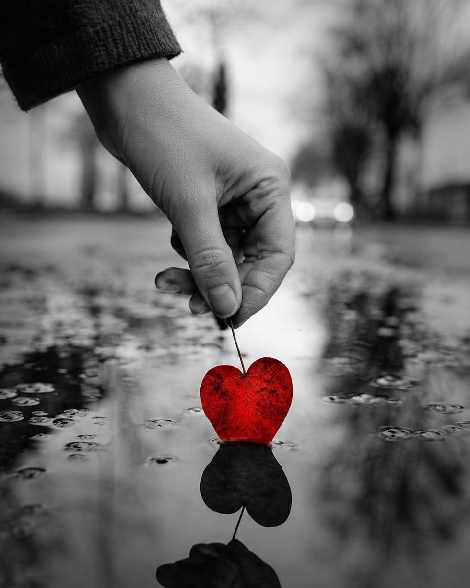 Aprendizlunar's tweet photo. No creo en las casualidades
ni en el azar del destino,
en cambio si,
en la sincronicidad.
Si coincidimos en nuestro camino,
había una razón,
me enseñarías alguna lección 
que sólo contigo 
habría aprendido.
Quizá eras parte de mi  proceso
 de aprender a amar,
quizá necesitaba
darme cuenta 
de la enorme valentía 
que se necesita para dar ese  sí.
Ese "si quiero"  y "si puedo "
con lo que empiezan 
todas las cosas bonitas de la vida.