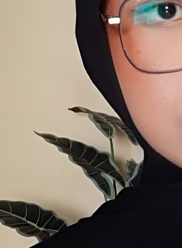 iitzrawrr's tweet photo. 🌷blush on

udah repurchase blush ini berkali-kali dan masih jadi favorit sampai sekarang 🥹

warnanya cantik, pigmented jadi pakainya irit, dan tahan lama seharian. tipe blush yang selalu bikin muka kelihatan lebih fresh dan hidup ✨

[https://t.co/Hl4Zsq2AOq] https://t.co/1flNC3PTXR