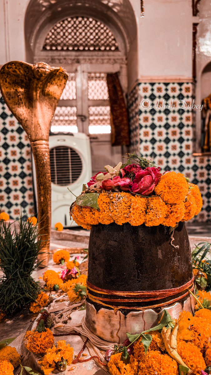 ashishd30's tweet photo. हर हर महादेव 🙏🏻 https://t.co/3eOEokAllW