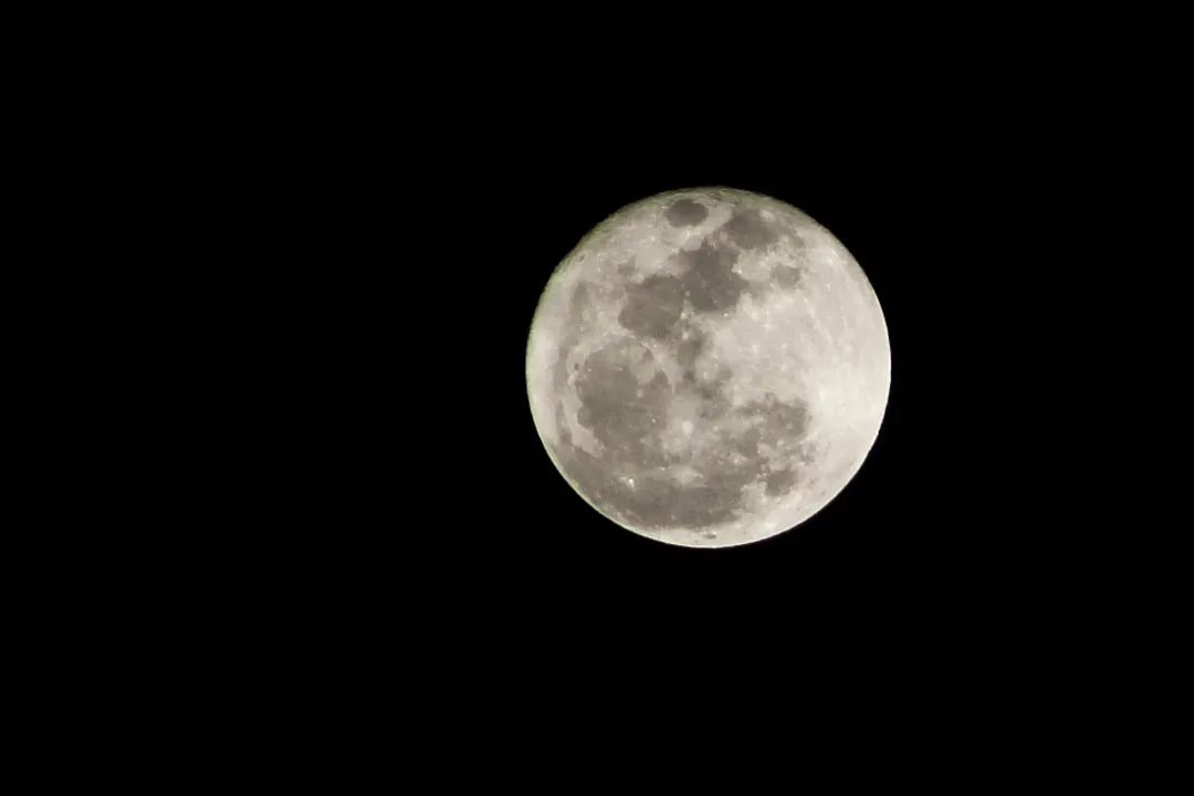 maferpalmat's tweet photo. Una luna especial para alguien allá arriba. 🌕💙

#LunaAzul https://t.co/jakCnyxZ43