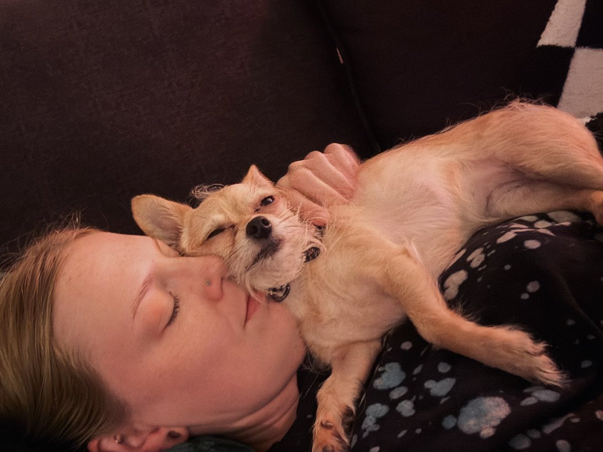 snotmoth's tweet photo. To be loved by a little rat dog is to be loved purely https://t.co/Xmjn4nTbyP