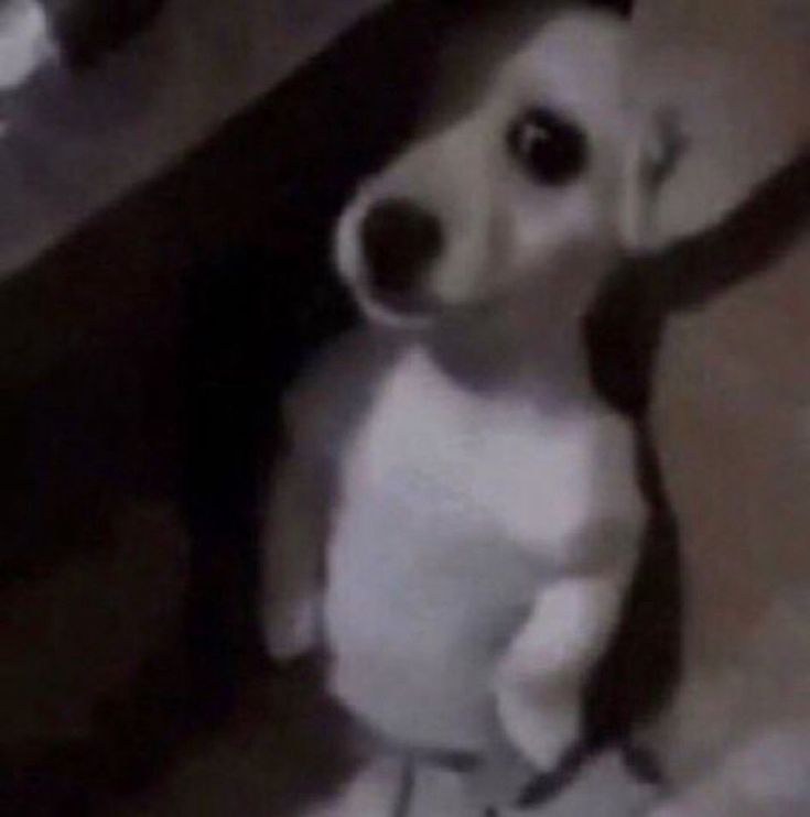Charlie_fanq's tweet photo. Pq nadie dice q cuando Quackity estaba actuando de norteño con Tina, puso música de lore y menciono q tenía primos https://t.co/gIkvItUSqo