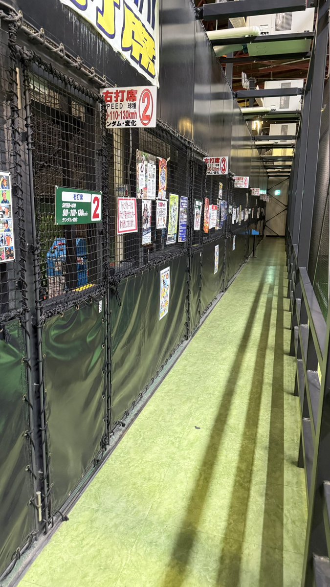radispa tweet picture