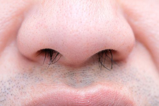Pls_find_tanya's tweet photo. When you try to chat by looking into someone's eyes but fail, because their nose is positioned like this.😭😭 https://t.co/48fF8a2LBF
