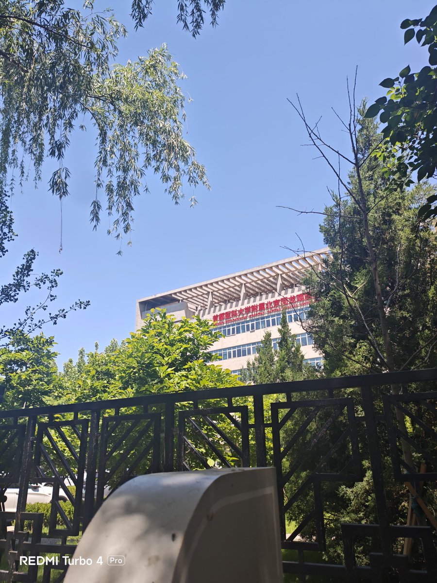 BY7019SWL's tweet photo. 【北京114预约挂号】退号通知：您已取消首都医科大学附属北京回龙观医院|普通精神科(含抑郁症)门诊|副主任医师号源，就诊时间：2026-06-01 09:00~09:30
回龙观是看不成了，我的身份证是18的（哥们都要拿驾驶证了），但是档案17，并且我一身学生样的，可能就不给我报道了（首诊）要家长陪同哭哭哭 https://t.co/YUeejlUeDG
