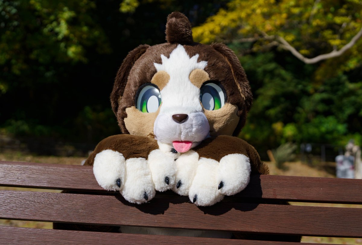 ginngitune's tweet photo. #ケモノをみて今週も���んばりマンデー https://t.co/tGN1LWEvF8