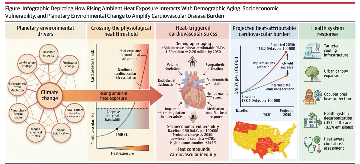 JAMACardio's tweet photo. 💬 Editorial: Projected increases in ambient heat and demographic aging are poised to escalate US #CardiovascularDisease burden, with greatest impact in economically vulnerable and under-adapted regions. 

https://t.co/YxSFyxJVNZ https://t.co/3KSwrA55mq