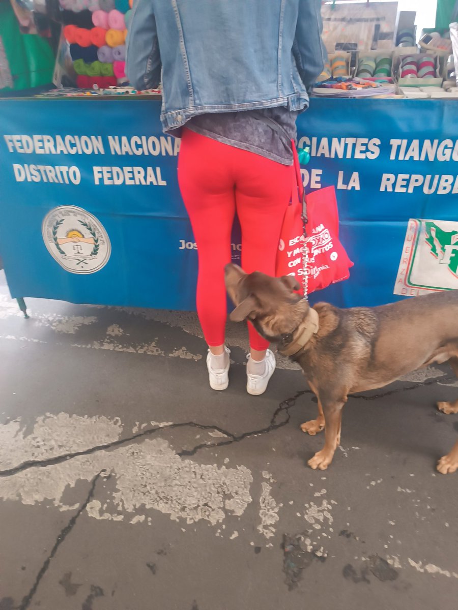 teckel_watcher's tweet photo. #culitos #culo #culos #sabrosa #transparencia #leggins #voyeur #voyeurmexicano #puta #culorico #cachetero #tanga #deliciosa #culote https://t.co/hPgBPBJMMT