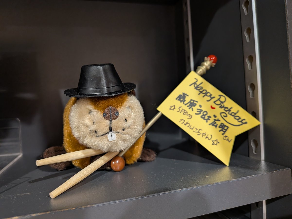 SUPERBEAVER】 ／／ 本日6月1日は SUPER BEAVER、Dr.藤原