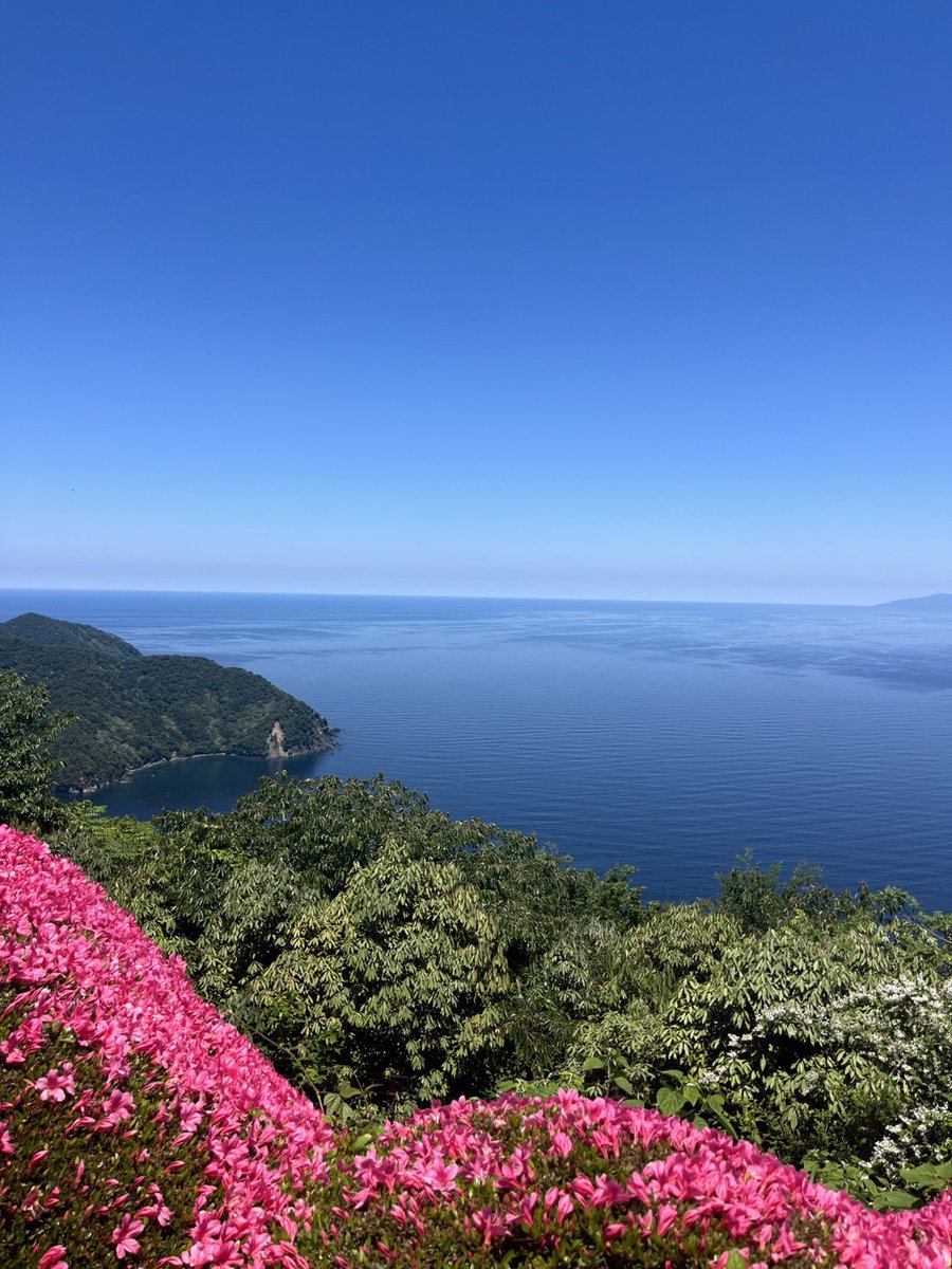 Ntoc_jp's tweet photo. こんにちは！🌞
週末は福井県と滋賀県にドライブに行きました🛣️🚗
お天気も良く、のんびりと気持ちの良い時間を過ごせました🌱
日本海側へ行くとこんなにも海が綺麗なんですね！😊
自然にたくさん触れられた良い休日でした✨今週も頑張りましょう💪

#企業公式つぶやき部 https://t.co/7kxvocxXAR