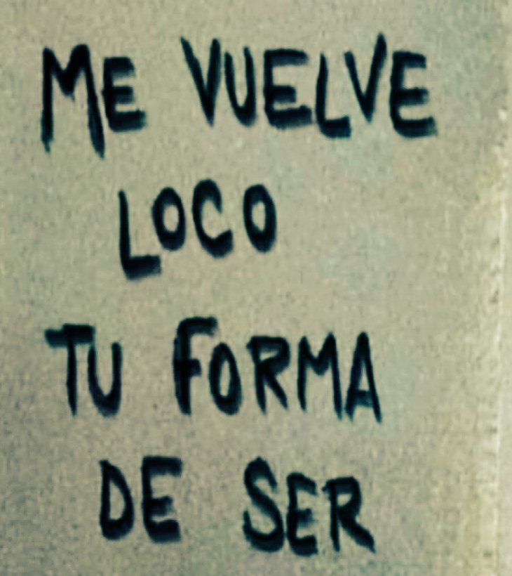 ℓυ 🦝 tweet media
