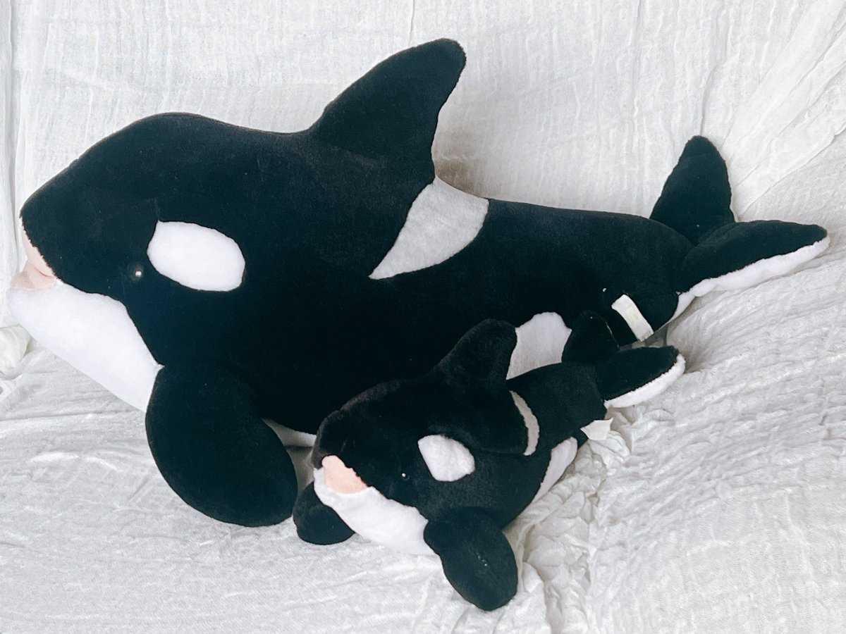 【販売終了】もにまるず シャチ 30年くらい前にくじで取ったシャチ🫍 まだ色褪せずに健在です😌 今は