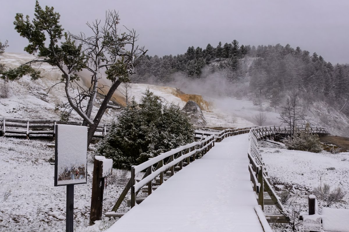 Jeanette199's tweet photo. Adventures through Photography: A Magical Morning at Mammoth Hot Springs - Spring ... https://t.co/fSW40D3uFM 

#YellowstoneNationalPark #Yellowstone #publiclands #nature #photography #MammothHotSprings https://t.co/AqmFvEv5Ag