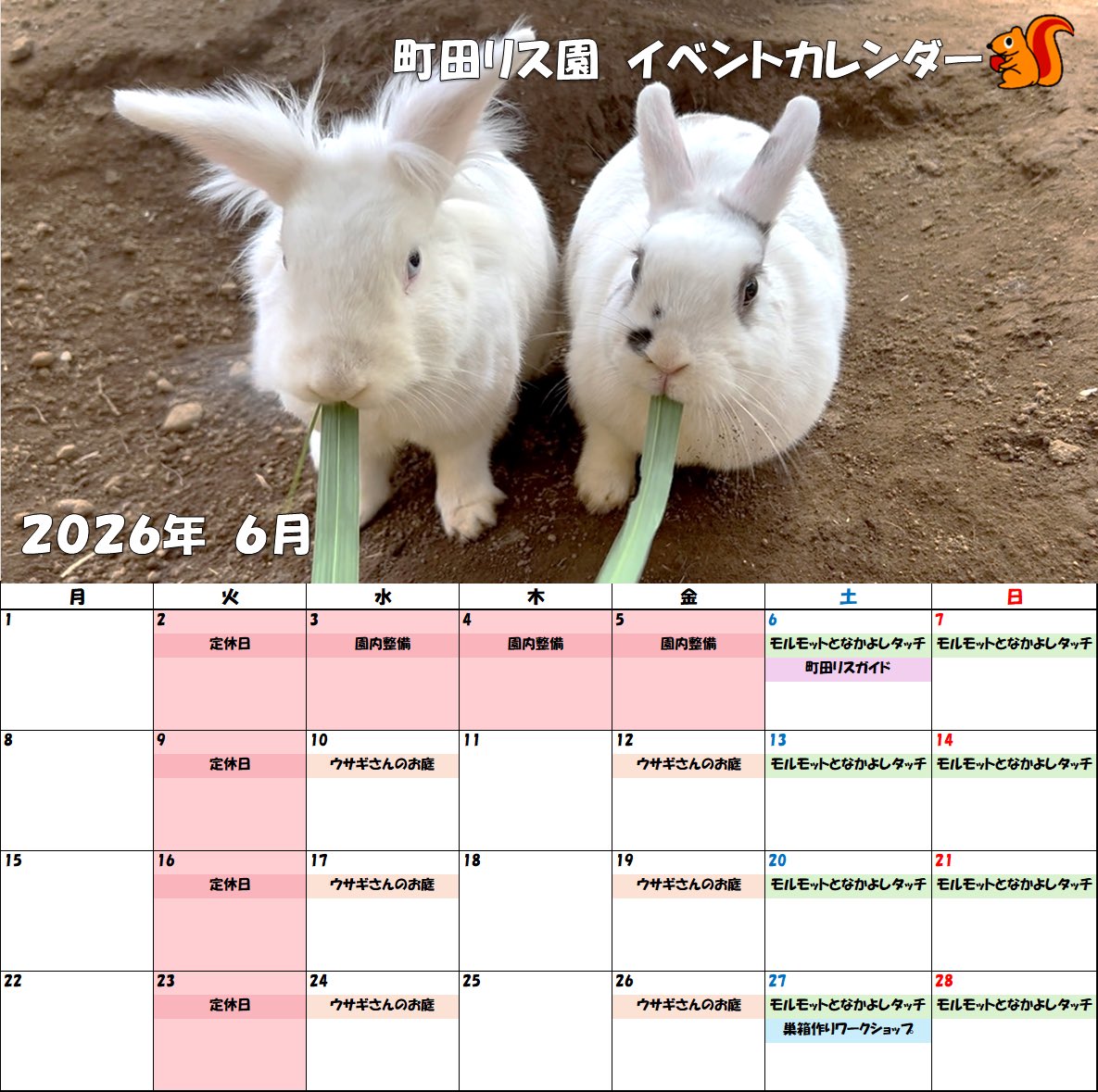 こんにちは☀️ 今週開催のイベントは #ウサギ さんのお庭→水金