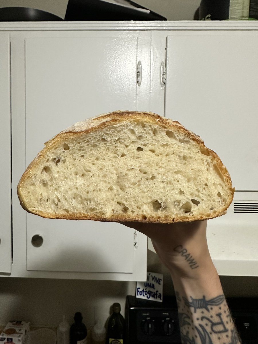 HotdogOW's tweet photo. locked in with this crumb https://t.co/ao8eO1aYoP