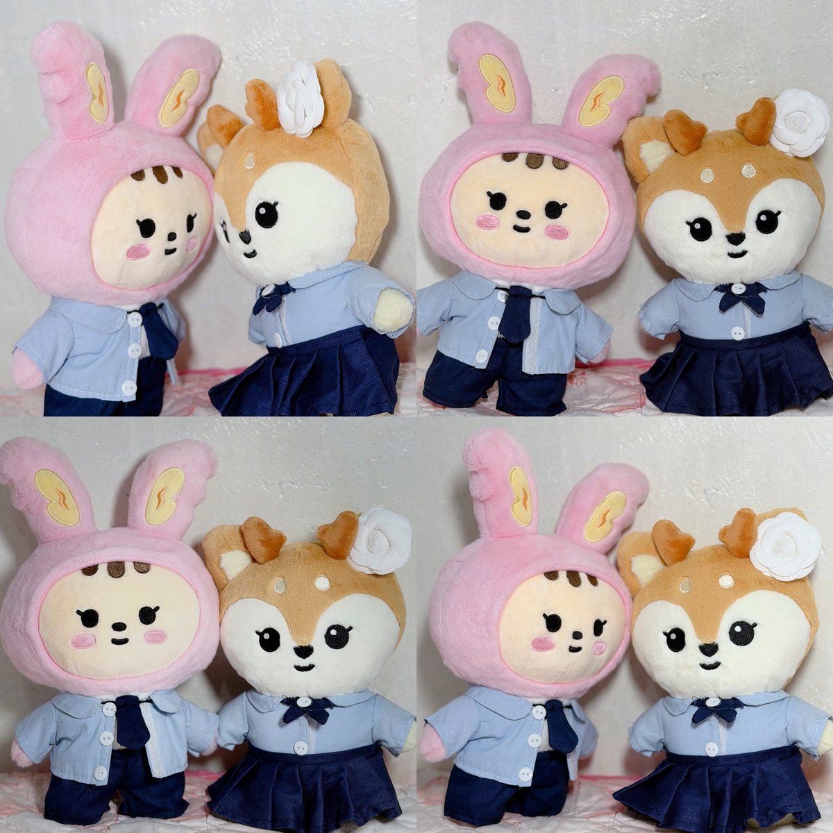 jeonghanish's tweet photo. toram &amp; sumi are now ready for school! ₊˙♡﹗˚ ༘ https://t.co/s0aSniHrCP