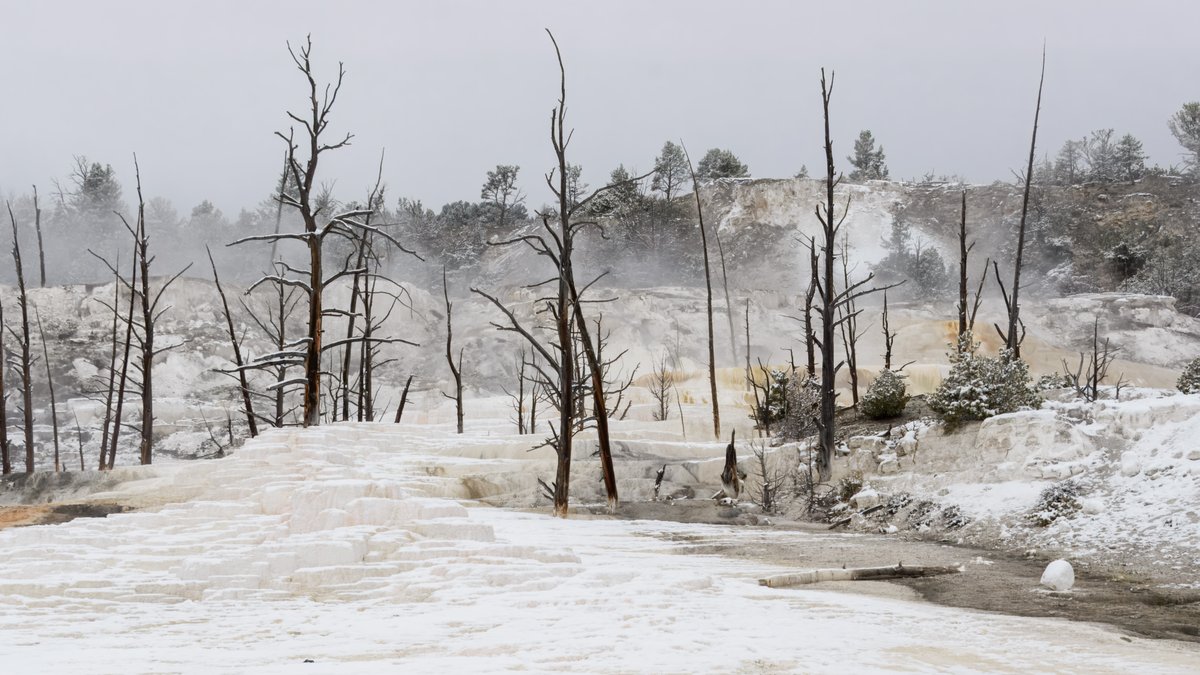 Jeanette199's tweet photo. Adventures through Photography: A Magical Morning at Mammoth Hot Springs - Spring ... https://t.co/fSW40D3uFM 

#YellowstoneNationalPark #Yellowstone #publiclands #nature #photography #MammothHotSprings https://t.co/AqmFvEv5Ag
