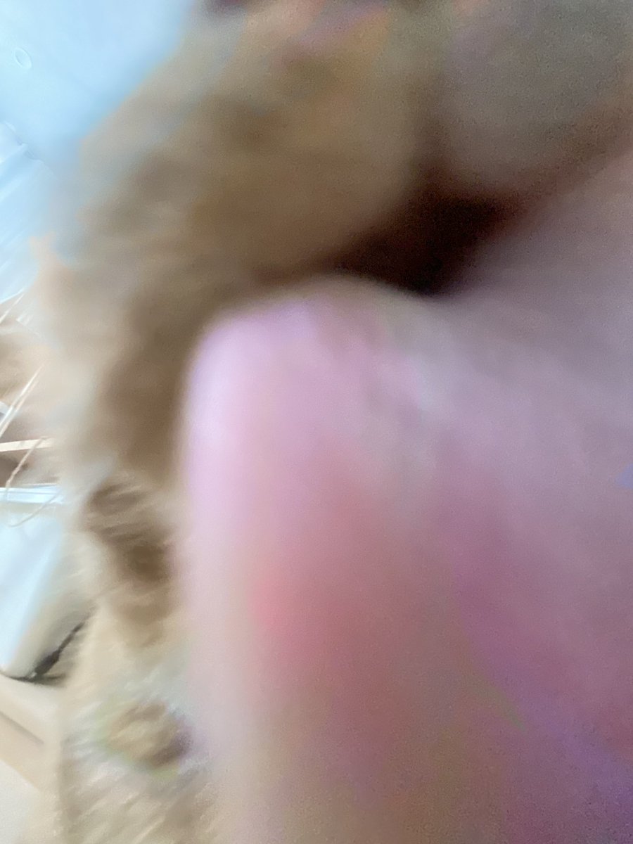 jjaemu_'s tweet photo. https://t.co/Ow20iYfRMz