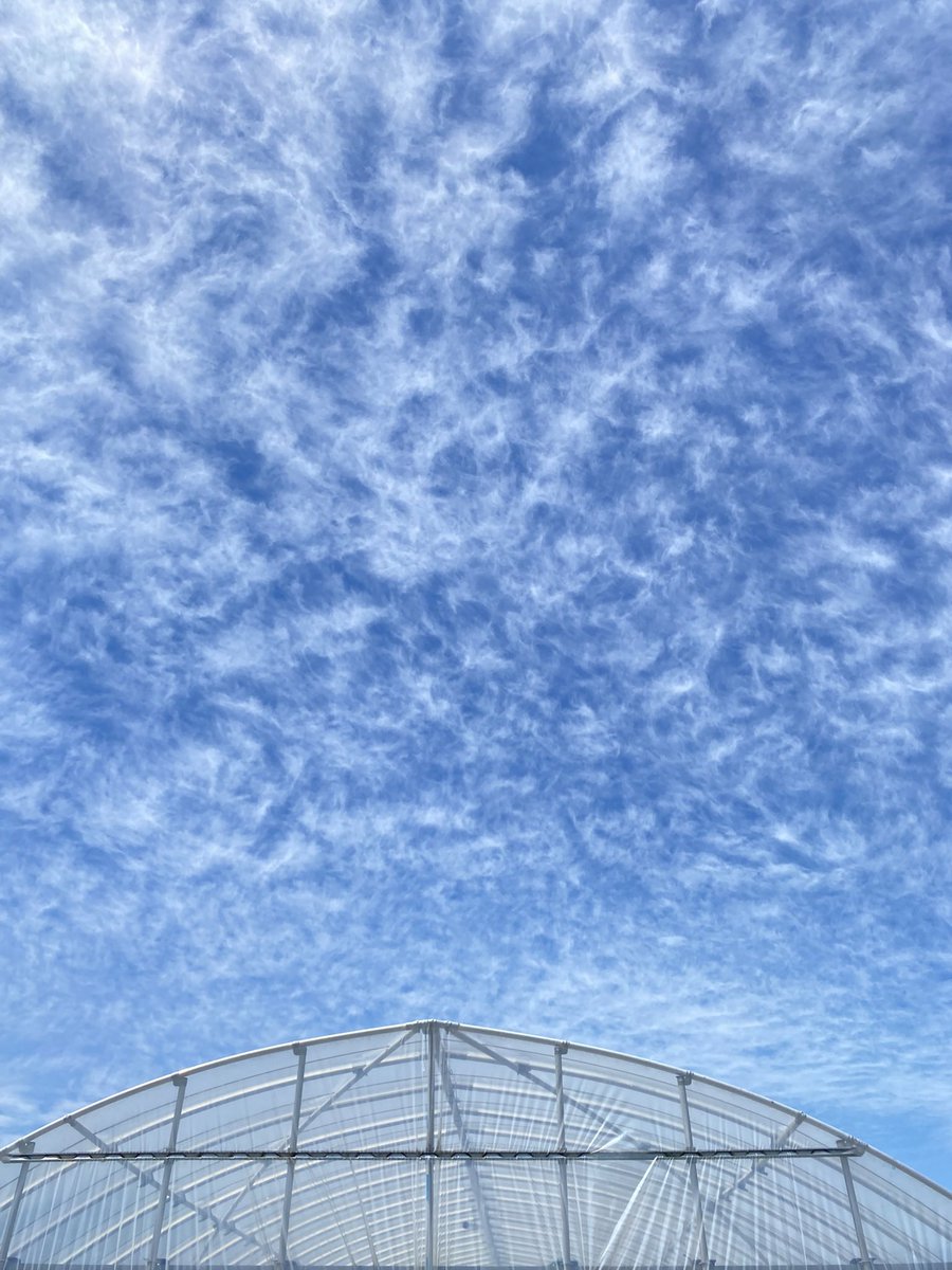 crfmuc0nd's tweet photo. なんか乾燥機のフィルター掃除しなきゃいけない気分になる空。 https://t.co/D5ulO91pWj