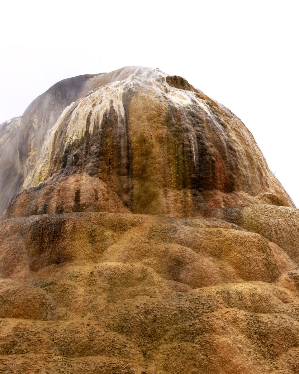 Jeanette199's tweet photo. Adventures through Photography: A Magical Morning at Mammoth Hot Springs - Spring ... https://t.co/fSW40D3uFM 

#YellowstoneNationalPark #Yellowstone #publiclands #nature #photography #MammothHotSprings https://t.co/AqmFvEv5Ag