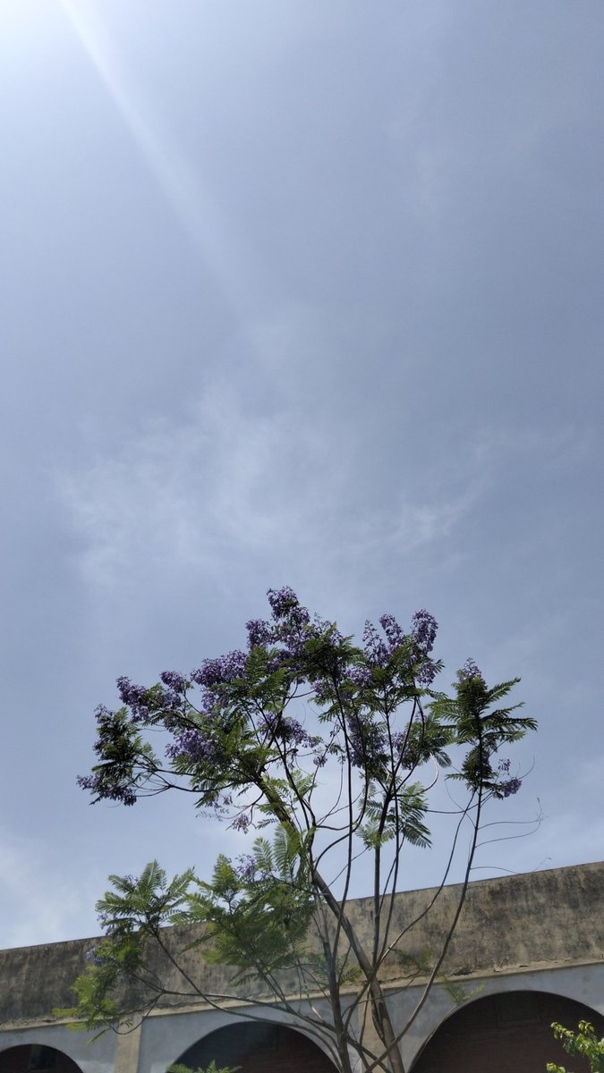 beantmaan0's tweet photo. Nature ☀️🪻
#photo https://t.co/hI016uQxRZ