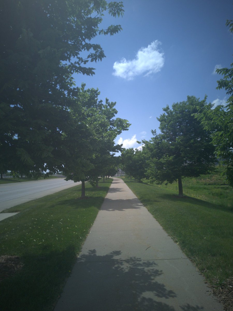 curltwt's tweet photo. it's a green day https://t.co/ebgnoIBQvy