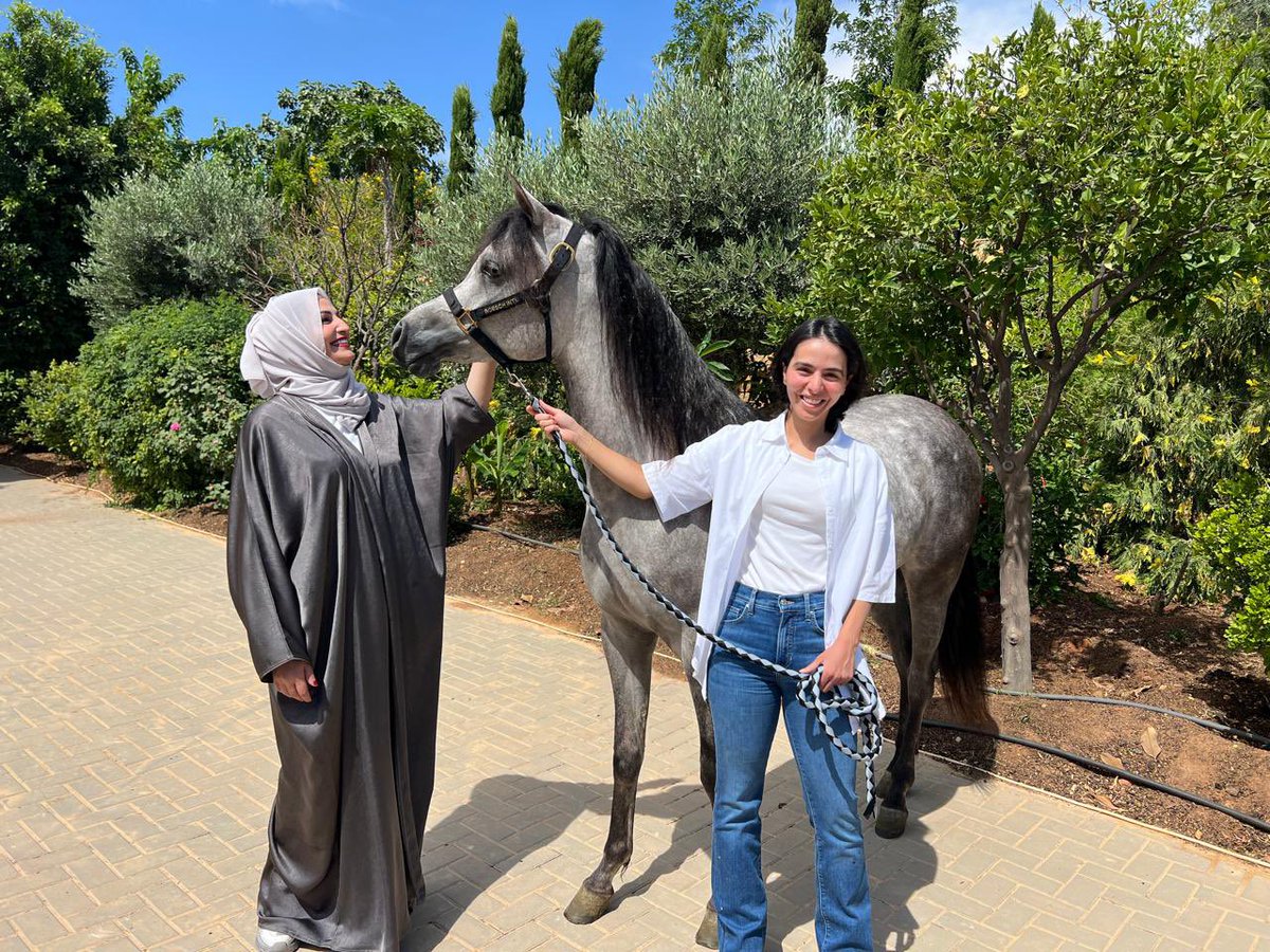 MAYOCHAF's tweet photo. أتقدم بجزيل الشكر و  الامتنان لصاحبة السمو الملكي الأميرة زين بنت الحسين والأميرة جمانة على دعوتكم الكريمة، والتي أعتز بها وأقدرها كثيراً لزيارة " اسطبلات جعفر الملكية " إن هذه الدعوة تعكس كرمكم وحسن تقديركم،والشكر موصول لحسن بيك مدير الإسطبلات وأسأل الله أن يديم عليكم التوفيق https://t.co/tJiasFNW6L