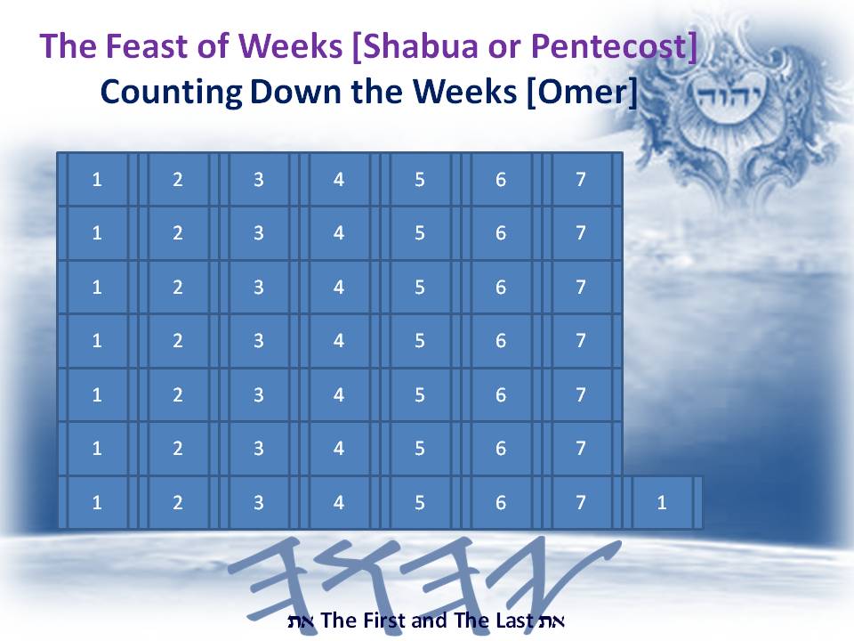 ThundersSeven's tweet photo. Today Day 13 Mth 3 &amp; 7th Day #Sabbath on #Fixed 364 Solar #Scriptural Calendar which NEVER changes aka moon's day this year 1Jun26 on RC Gregorian sidereal calendar which CHANGES every year Father #YaHUaH #YaHUShA #TheWord IS #Truth Day49/49 Count 7 PERFECT weeks from Day18 Mth 1 https://t.co/muiUPsyrkH