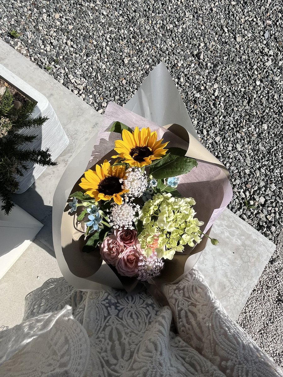 ねるこは育たなかった tweet media