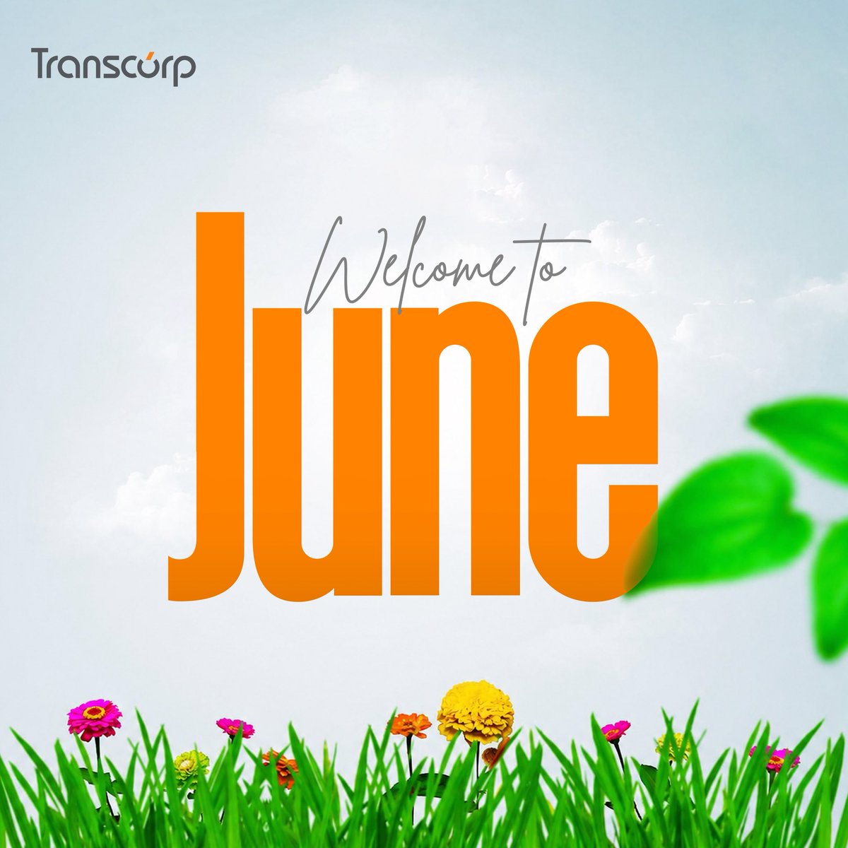 TranscorpGroup's tweet photo. May June be defined by growth and driven by excellence in all we do.

Happy New Month from all of us at Transcorp Group.

#Happynewmonth
#TranscorpGroup https://t.co/kPUZ51Rbdc