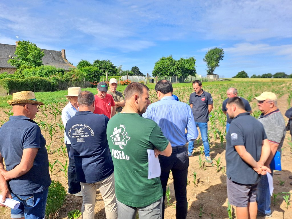 fdsea53's tweet photo. [#Syndical] Ce matin, @fdsea53 et @JEUNESAGRI53 invitent les parlementaires de @lamayenne à un bout de champs pour illustrer les dégâts de 🪰 du semis 🌽. À #nuillesurvicoin, le Gaec des Baronnières accuse plus de 5️⃣0️⃣% d'impact. @AGPM_mais @FNSEA @FRSEA_PDL #loidurgenceagricole https://t.co/Ou90KQYa5F
