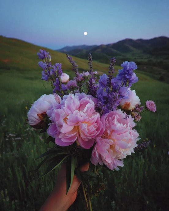 Sherklkan's tweet photo. 𝐵𝑖𝑟 𝑎𝑛𝑑𝑎 𝑑𝑢𝑟𝑢𝑚𝑙𝑎𝑟 𝑑𝑒𝑔̆𝑖𝑠̧𝑖𝑟, 𝑅𝑎𝑏𝑏𝑖𝑛 𝑏𝑢𝑛𝑎 𝑘𝑎𝑑𝑖𝑟𝑑𝑖𝑟.” https://t.co/dF3nuO8lBm