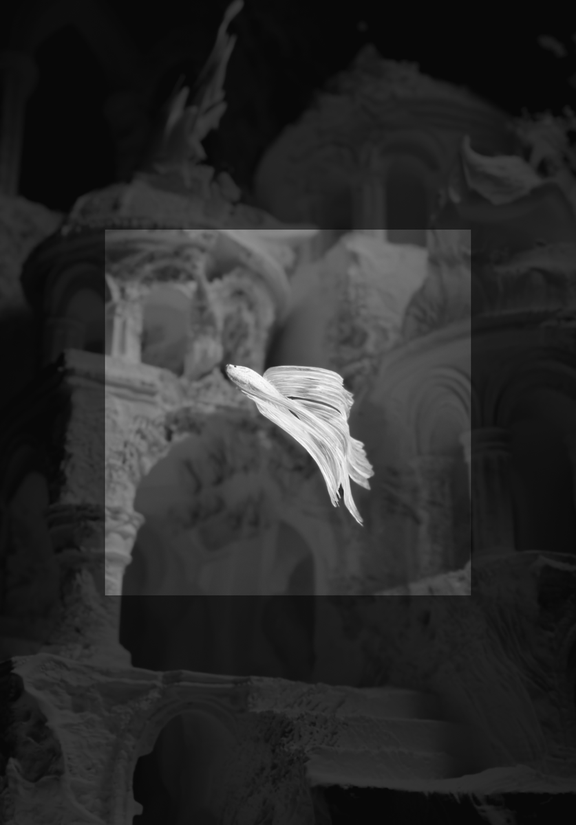0xFiloo's tweet photo. Gm 
Been a while 👋 finally back with some test renders from a new animation project, sculpted the castle in #3DCoat , rendered in #Blender 
✦ Garden of Eden ✦
More coming soon! https://t.co/NV7QcnAN9O