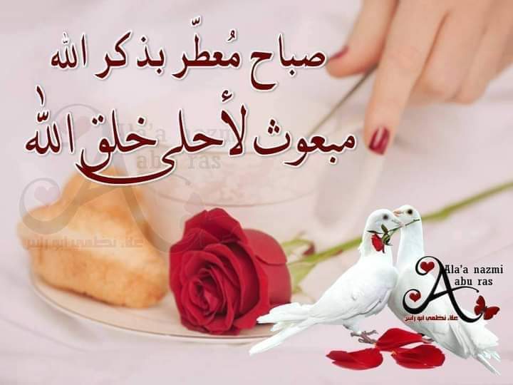 btebib210's tweet photo. @Nassira7692411 الصبآح بدايآت هآدئة ورآحة تسكن الروح ودعوآت ترفع للسمآء...فيارب اجعل يومنآ كله خير 🤲🌾🌿
صباح الخير .. لقلوب تنتظر الخير من خالقها 
صباح السعاده لقلوب تملأها الثقة بالله بأن كل شي سيكون جميلا🍃🌸🌿
صباحكم أمن وأمان ورضى الرحمن 🌹
صباحك ورد فل وياسمين أختي🌹 https://t.co/FNgG9sXckn