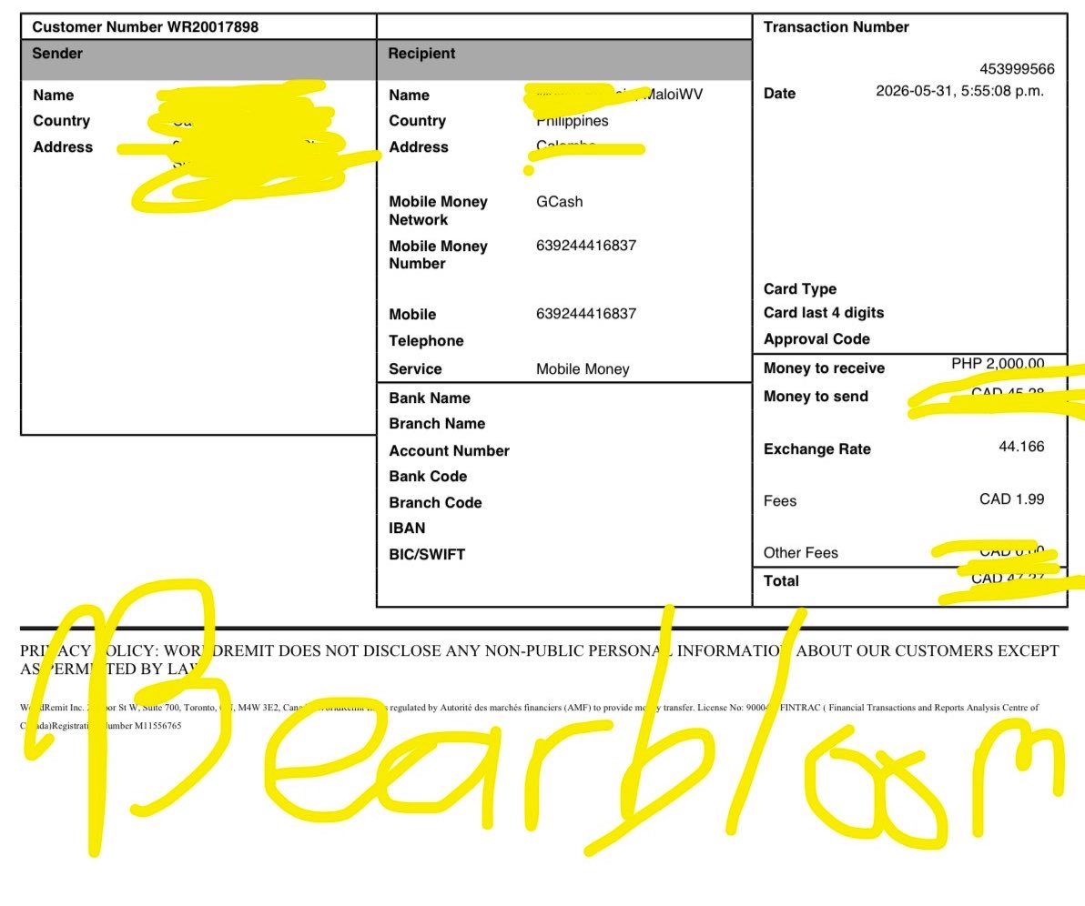 BearBloom ⋆˚𝜗𝜚˚⋆ 🐻 tweet media