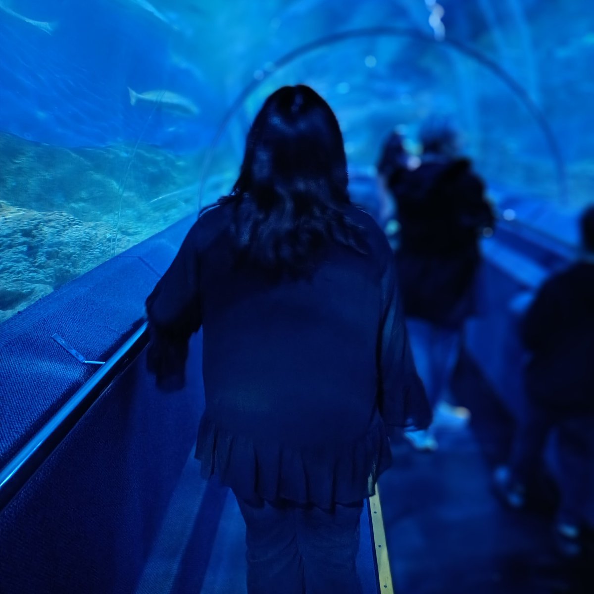 Axyrna_'s tweet photo. Happy Pride! Have photos of my fiancee and I at the aquarium yesterday https://t.co/qmHX0bRzeo