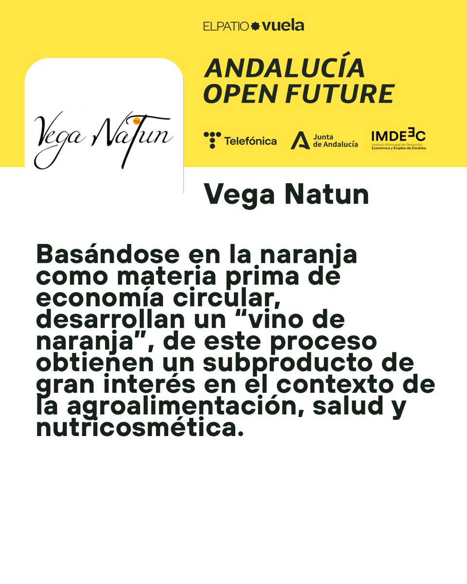 OpenFuture_And's tweet photo. ¿Tradición enológica sin uva?❌🍇

Sí, gracias a la naranja.🍊

#VegaNatun produce circularmente fusionando artesanía vinícola, aplicada a la naranja, con innovación I+D+I.

Obtienen #VinoDeNaranja aprovechando el 100% de la misma.

Más👇
https://t.co/Z0QefAil3U

#AOF #ElPatio https://t.co/d7eNMG7PRV