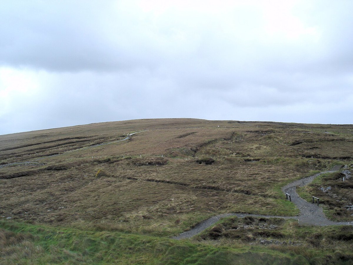 RobLooseCannon's tweet photo. The most ancient fields on Earth, at about 5,500 years old, are in Mayo! The Céide Fields predate the Egyptian pyramids and similar agricultural systems anywhere in Europe by roughly 2,500 years. You would think theyd always been famous but it took a schoolteacher called Patrick Caulfield cutting turf in the 1930s to realise the miraculous heritage.

He recognised something in the strange linear piles of stones at the bottom of the bog. Firstly their configuration was not natural. But more importantly, they were underneath the peat, which meant they had been placed before the bog formed. And bogs take thousands of years. He told anyone who would listen that these layouts must be ancient, but nobody did feck all for 40 years!

Thankfully his son Seamus Caulfield came back, armed with an archaeology degree and a practical solution to analyse the blanket bog without destroying it. So Caulfield the younger developed a probing technique, pushing iron rods down through the peat to locate the hidden walls beneath. This painstaking, low-tech method was extraordinarily effective. 

He mapped this ghost landscape of over a hundred kilometres of stone wall, two metres below the surface, preserved almost perfectly by the very bog that had buried them. The site in total covers around 12 square kilometres. Most of the walls are still underground and the bog is still growing.

The walls are long, parallel, some of them stretching over a mile and a half. They divide the land into rectangular plots ranging from four to ten hectares. Some authority measured this land, agreed on boundaries, and coordinated the labour to build them. The walls themselves ran between 90 centimetres and 150 centimetres wide and stood at least a metre high. 

That kind of construction doesnt happen without rule of law, community organisation, and a shared idea of the future. Archaeologists estimate several hundred workers were involved. They cleared vast pine forests, oak, birch, hazel and alder, to open the land. They built the walls from the stone they cleared. They then kept cattle on the divided fields and, near what is now the visitor centre, appear to have grown emmer wheat in smaller enclosed plots.

Around 50 to 60 families lived here, perhaps 300 people in total, in round wooden gaffs about six metres across. They buried their dead in megalithic court tombs, the Behy court tomb still sitting within the complex. They made pottery comparable to finds across Stone Age western Europe. A primitive plough blade of stone, a saddle quern for grinding grain, a scattering of arrowheads. 

Then over a century or two, the climate shifted and the land got wetter. The soil became waterlogged because an ironpan formed in the subsoil, sealing the moisture in. The people had to leave and blanket bog began to form across the hillside, smothering the walls and the houses and the tombs. The families moved a few miles south to the lower ground around Ballycastle and Killala Bay. They wouldve watched the bog creep over everything they had built, and there was nothing to be done about it. But that bog preserved their genius.

Seamus Caulfield spent years trying to get the site recognised, holding local fundraising meetings, encouraging communities across Mayo to contribute. Local children in Doohoma went door to door collecting money. Taoiseach Charles Haughey flew out to the site in 1990, but thankfully that aul hawk-faced-hoor didnt try to hock it stone by stone. His visit helped promote recognition and preservation. 

The OPW came on board, money was found, and in 1993 the visitor centre opened. The building is pyramid-shaped, which is another matter I cant discuss. It houses a Scots pine recovered from the bog, around 4,000 years old and I highly recommend you visit this incredible site and contemplate how our ancient ancestors led such sophisticated lives which should rightly inspire pride. 

Buy the Dublin Time Machine a pint and support the DTM Book
https://t.co/U7jtCrOTtb