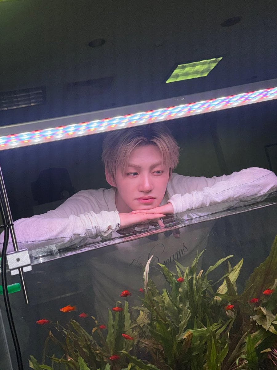 jihoon pics tweet media
