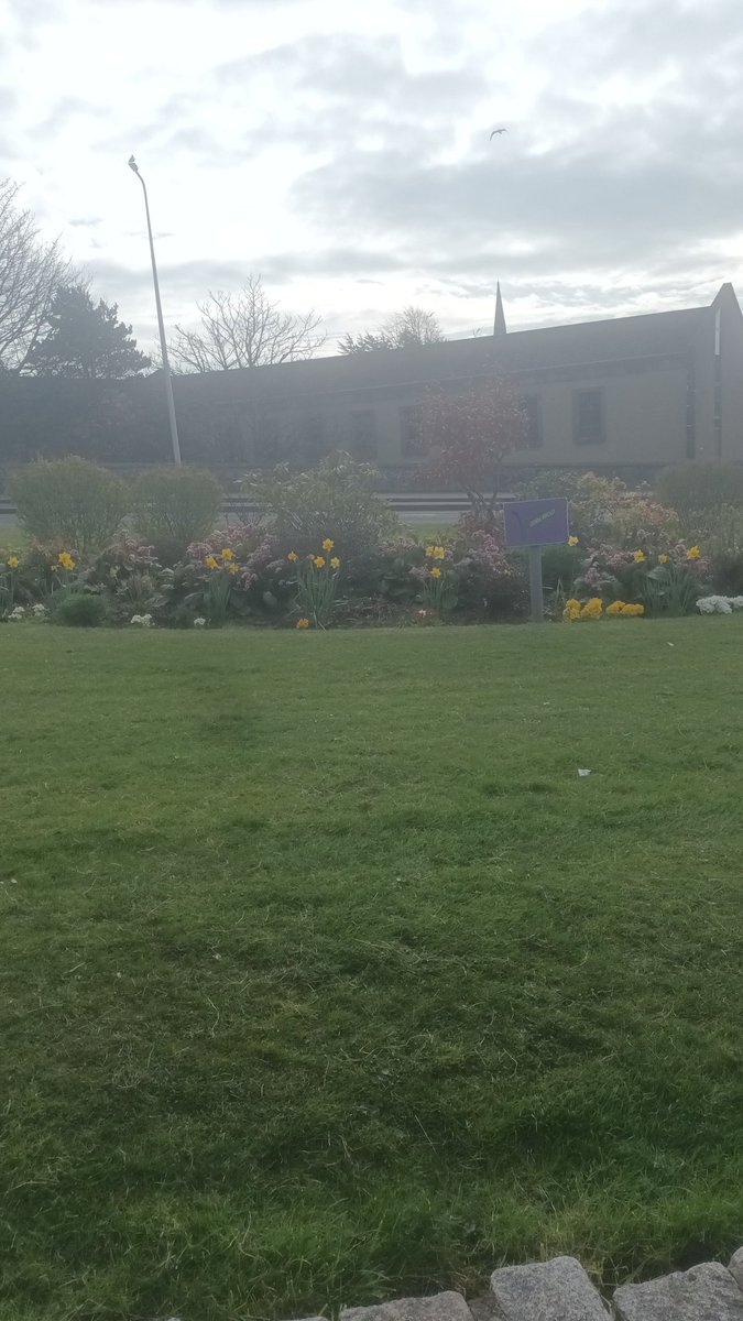 FrannyReilly's tweet photo. Good Morning you lovely people around the world 👋 ☕️ 🌏
Happy Monday  😊
I just thought I should pop on to see how you are all doing as I've not been on for a while 
It's a damp wet start here in Fife 🌧 
Have a good day and a great week ahead whatever your doing 🏡 🌞 🛍 🌻 💐 https://t.co/7sAdbwy46v
