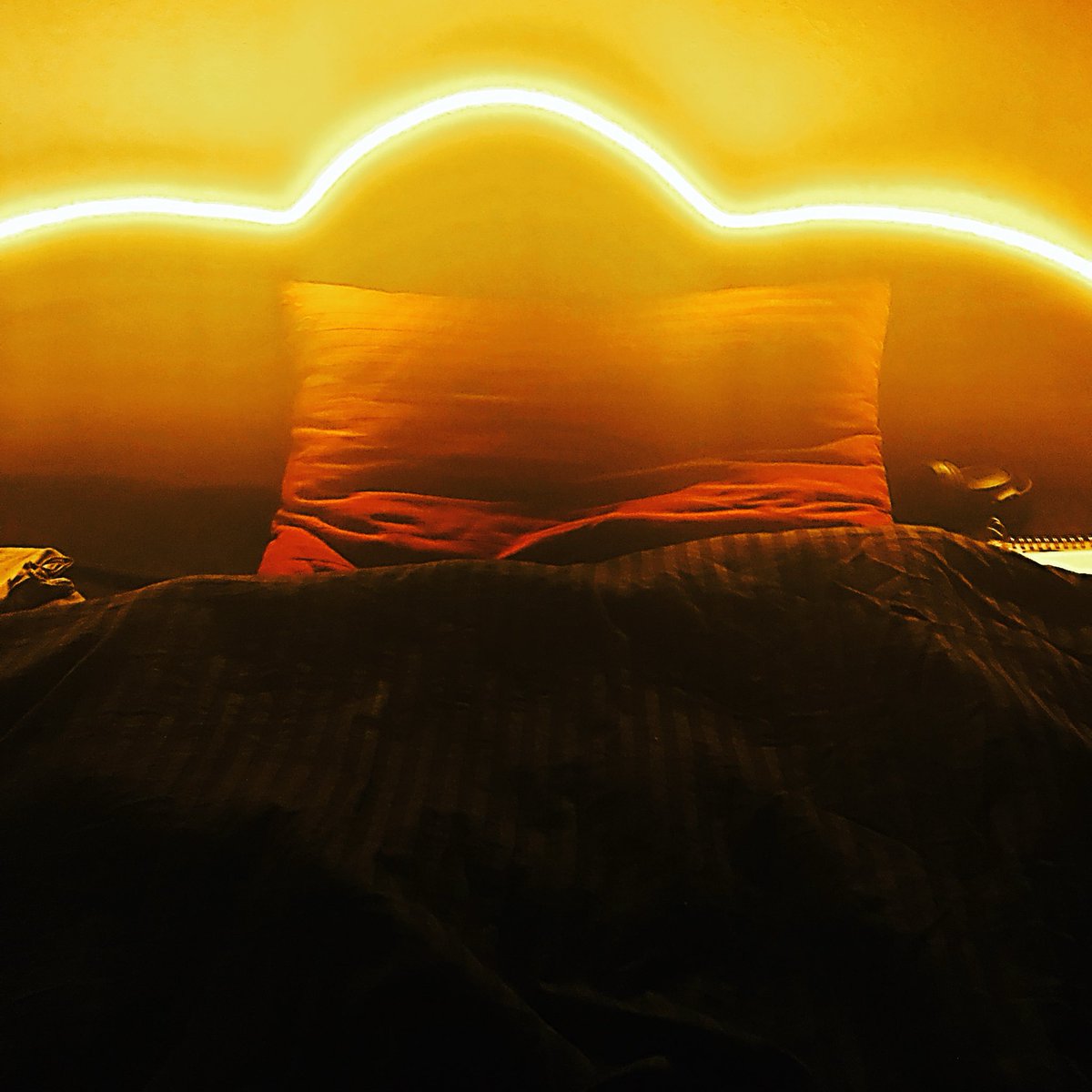Rooteias's tweet photo. The lighting on this bed was just…on point👌I kinda even feel like I should’ve thanked it… https://t.co/nJ5KmylBmA