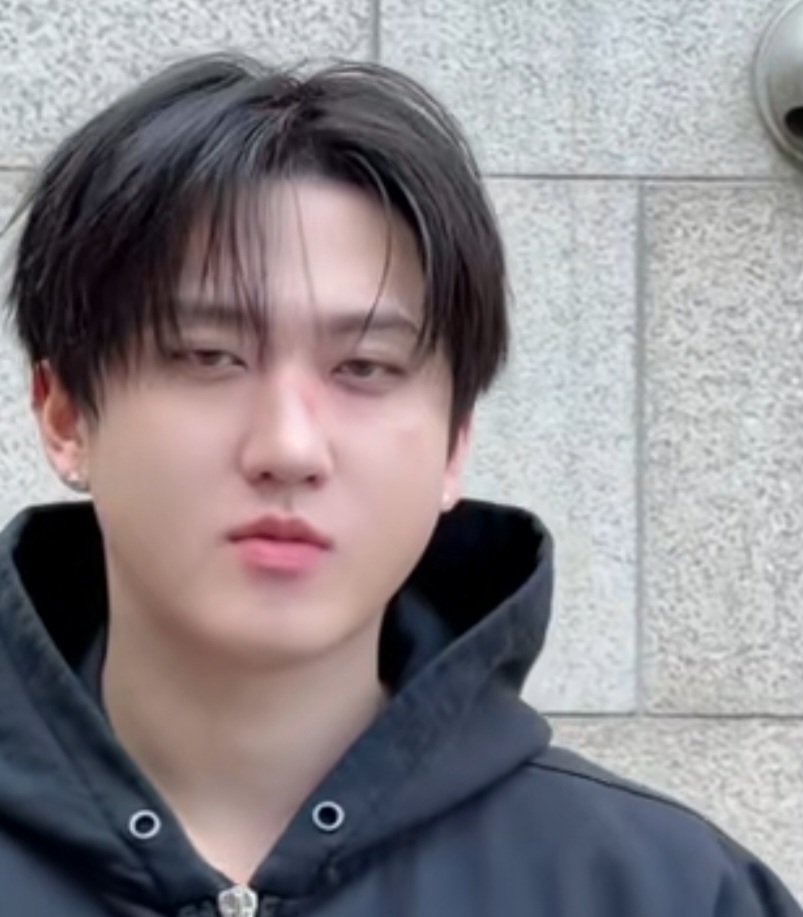 president of changseunglixville mangolover999₊˚✩彡 tweet media