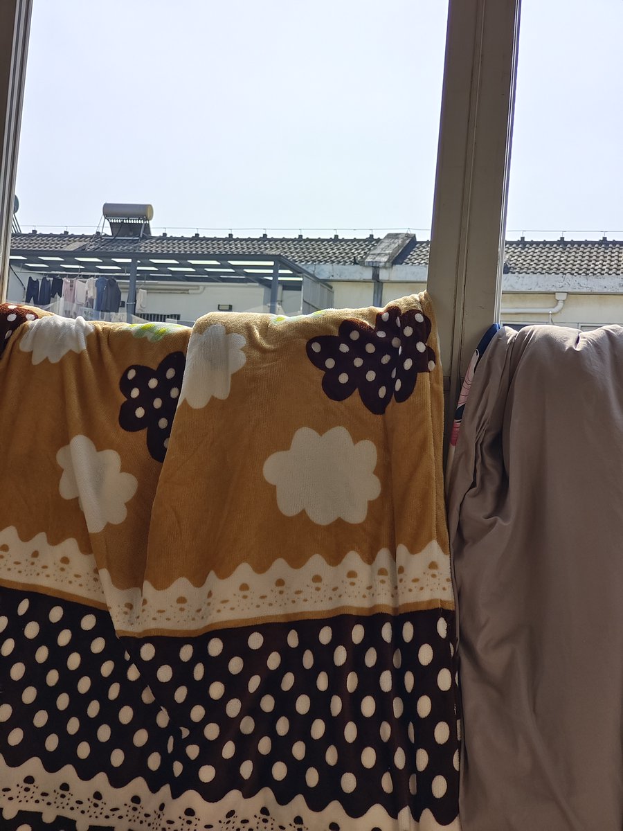 CalderoneHeart's tweet photo. Just caught a sunbeam resting on the folded fresh laundry—small wins that make a chaotic Tuesday feel warm https://t.co/9CoQFllYqe