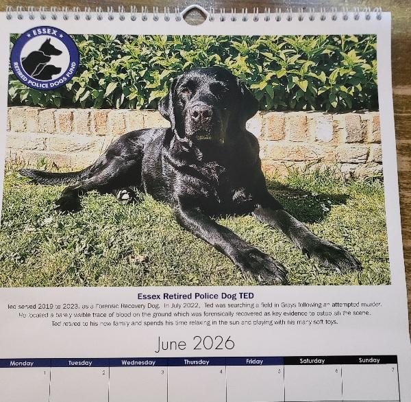 ERPDF's tweet photo. Welcome to JUNE  !
Our Calendar Dog is
RPD Ted
https://t.co/wgz2E2tB97 https://t.co/CYjmq9P68P