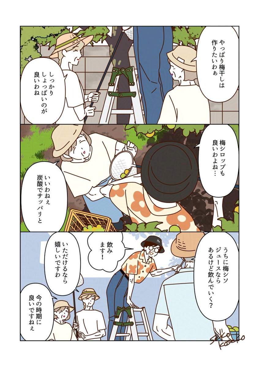 sekokoseko's tweet photo. 梅仕事を楽しむマダムたち🌱🌿（1/2） https://t.co/1rIc0mHjRX