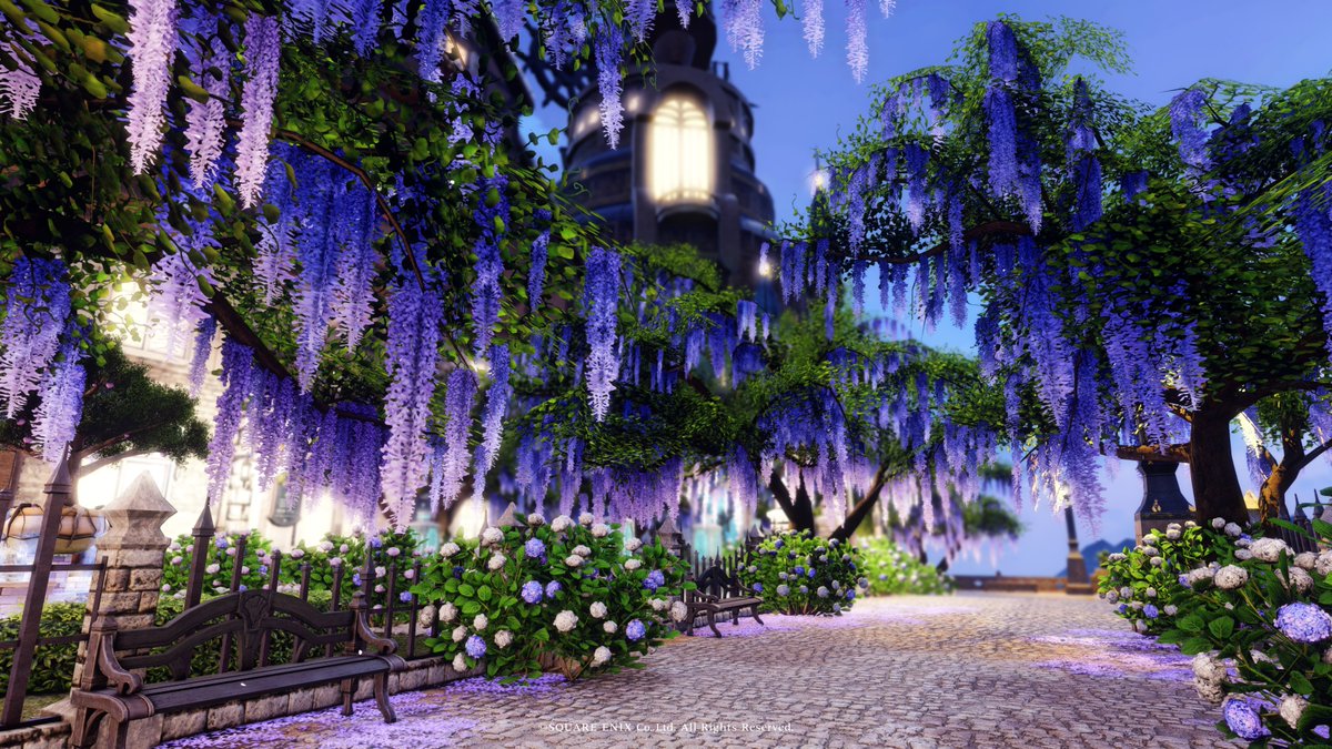 Zeromus_Tree's tweet photo. #ゼロムス並木道 は 
ウィステリア並木道に紫陽花を合わせた
お庭に変更いたしました。
ぜひお立ち寄りください。

Meteor Zeromus Goblet22-40.41.42
[拡張街]ナナモ大風車入口

#ゼロムス並木道info #FF14
#FF14ハウジング https://t.co/bRGq72yN8g