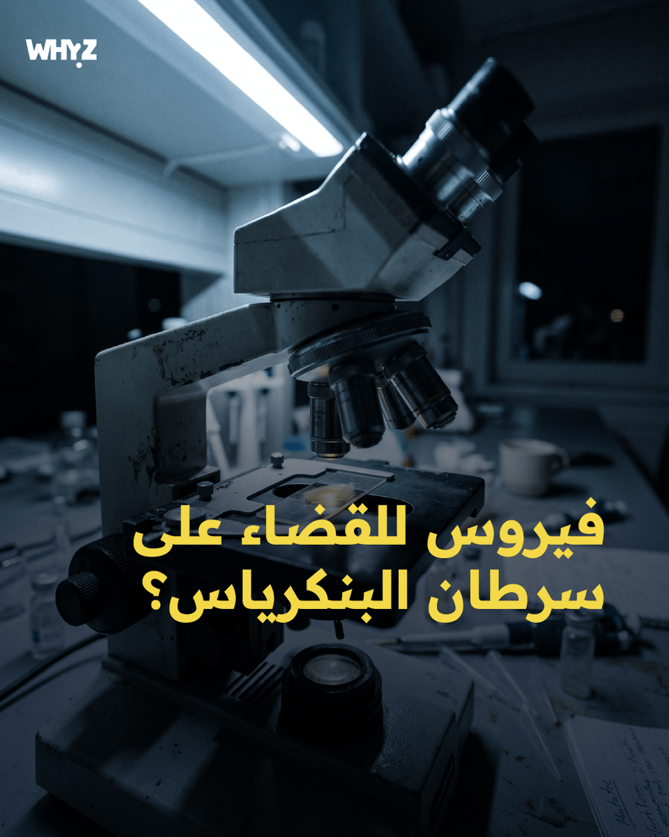WhyzMedia's tweet photo. سرطان البنكرياس، الذي كان يُمثّل جداراً مصمتاً أمام الأطباء، يواجه اليوم جبهتين من المواجهة: الفيروسات المعدلة جينياً، واستراتيجية "الاعتراض الطبي" المبكر. هل نعيش بالفعل ثورة إنهاء أشرس الأمراض قبل أن تبدأ؟ https://t.co/GTUCwYWC9h
