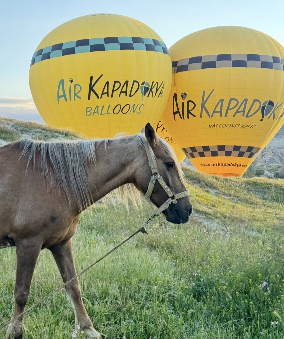 ercingil's tweet photo. Kapadokya’ya her mevsim ayrı güzel. Memleketim atlarımız ve balonlarla daha eşsiz bir manzaraya kavuşuyor. https://t.co/1Hdaz0cwr6