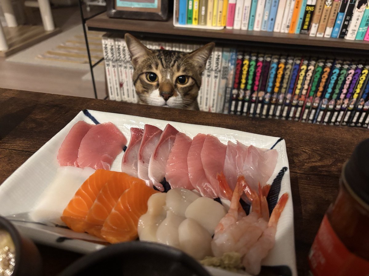 nobugara's tweet photo. なんの魚から狙おうか… https://t.co/h43HfHGEr4
