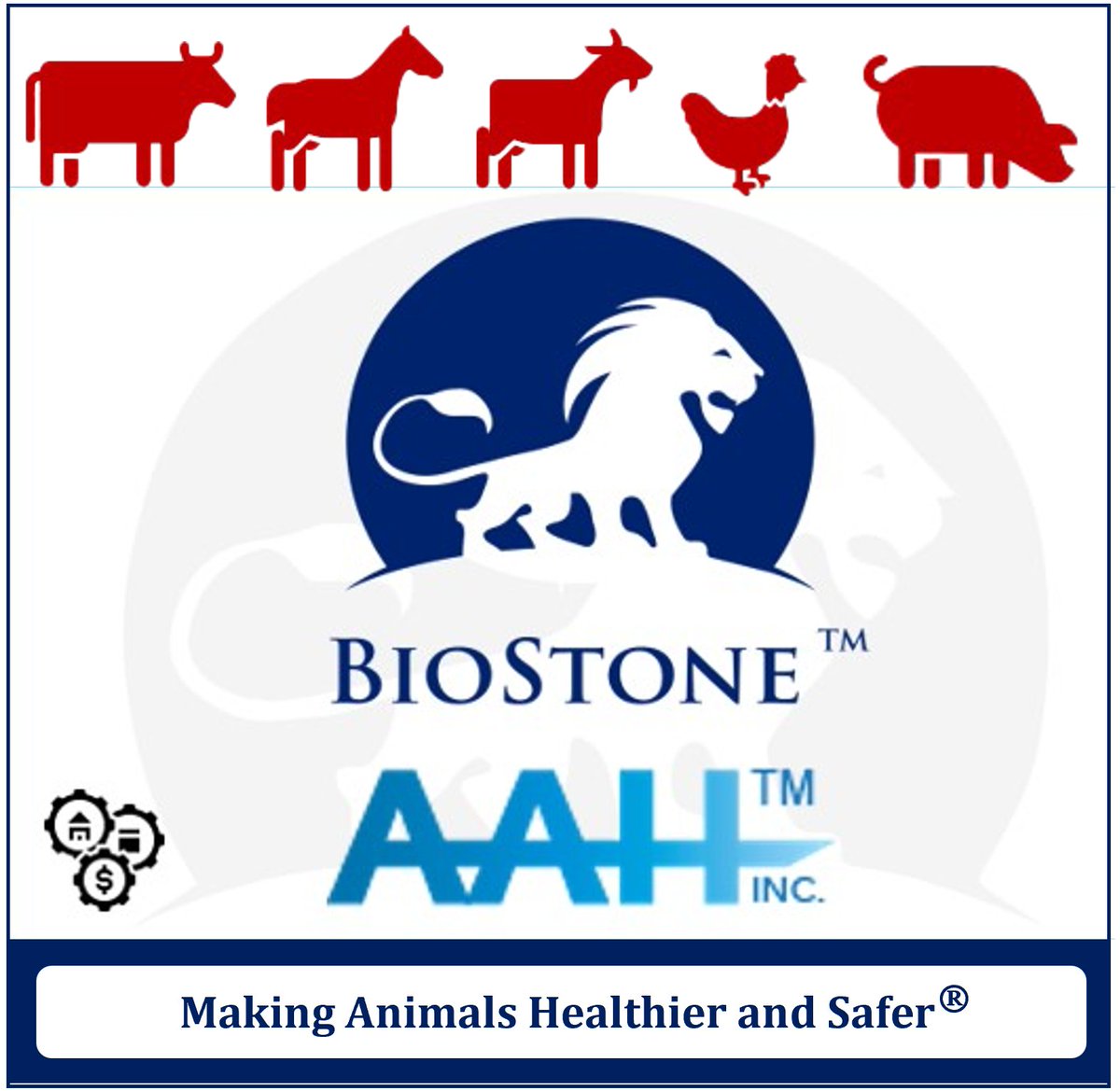 biostoneah's tweet photo. BioStone Animal Health is pleased to announce the acquisition of business assets from American Animal Health, Inc. (AAH), including AAH’s USDA-licensed autogenous bacterin manufacturing facility in Grand Prairie, Texas.

This acquisition expands BioStone’s ability to support veterinarians and producers with herd-specific autogenous bacterins,while continuing the quality, documentation, and technical support AAH customers have relied on for decades.

BioStone will continue working closely with prescribing veterinarians to support customized bacterin formulations tailored to each herd or flock’s needs.

For autogenous bacterin inquiries, please contact BioStone Animal Health.

#BioStoneAH #AnimalHealth #AutogenousBacterin #VeterinaryBiologics #USDA #LivestockHealth #VeterinaryMedicine